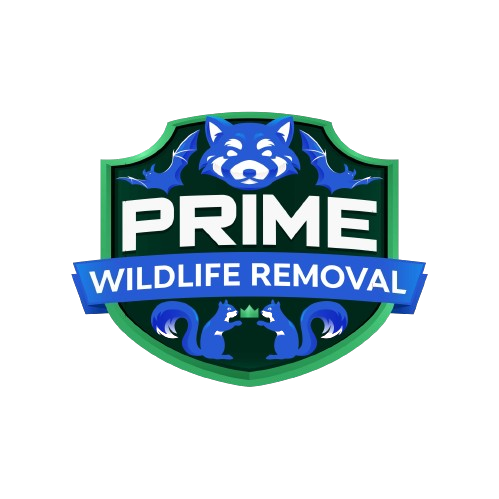 Wildlife Removal Tell City